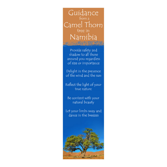 Bookmark - Guidance from a Camel Thorn Tree in Namibia
