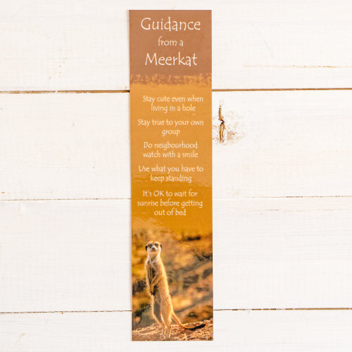 Bookmark - Guidance from a Meerkat