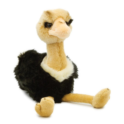 Soft Toy - Small Ostrich